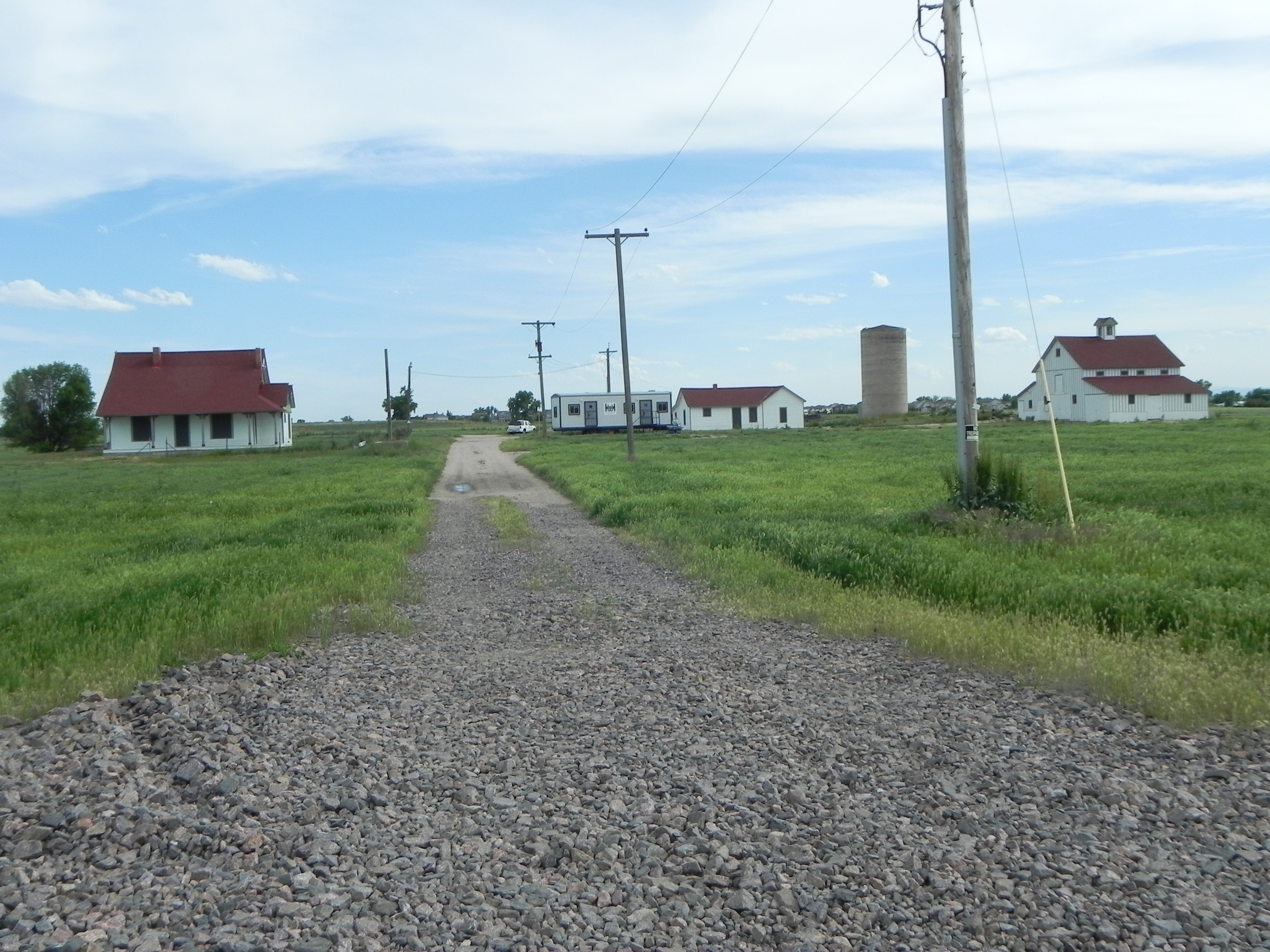 Bromley Hishinuma Farm (87)